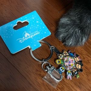 Hong Kong Disneyland Friends Keychain